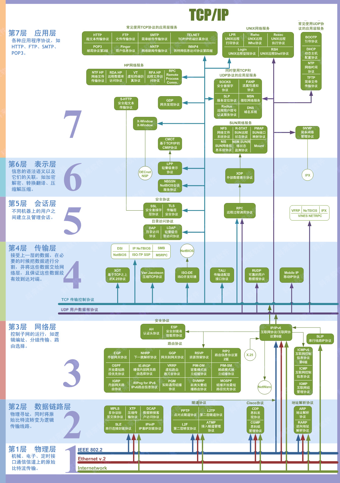 七层网络的常见协议与功能