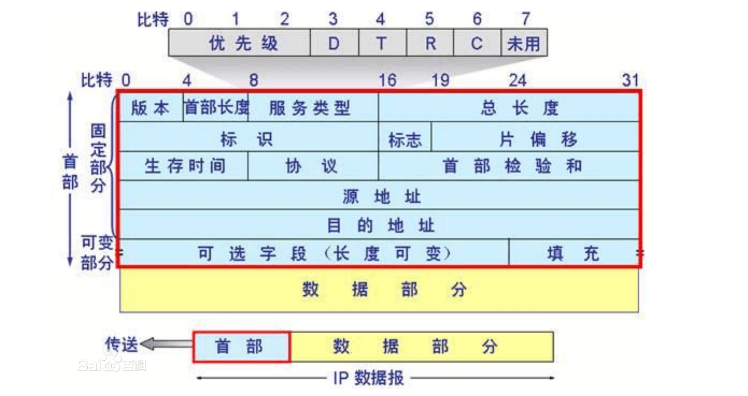 IP报文结构